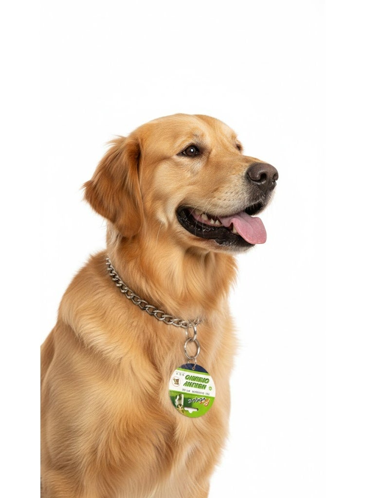 Stainless Steel Dog Chain for Large Breeds, 4mm Heavy Duty Metal Training Collar with Ring - Image 2